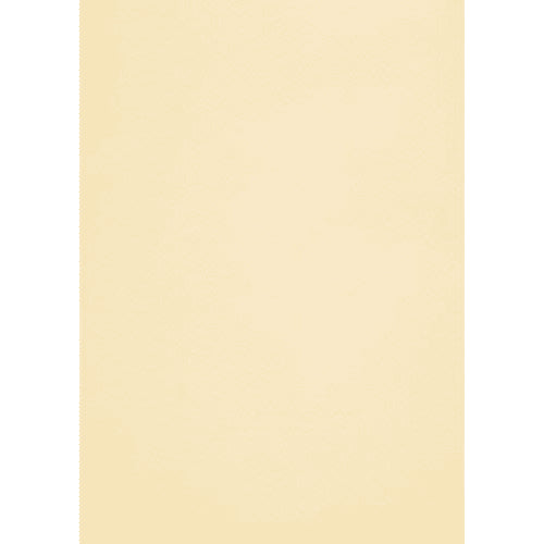 Printcare Premium Conqueror Paper – A4/ 25 Sheets/ 100GSM
