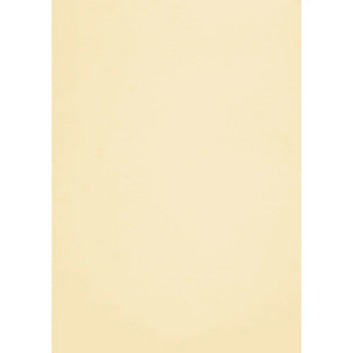 Print Care Premium Conqueror Paper – A4/ 500 Sheets/ 100GSM