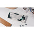 Keychron Q1 HE 75% RGB QMK Wireless Magnetic Mechanical Gaming Keyboard with Knob, Gateron Double-Rail Magnetic Nebula Switch, Shell White, English/Arabic Layout