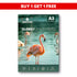 Print Care Glossy Photo Paper - A3 / 260GSM / 50 Sheets / Waterproof Inkjet Printing