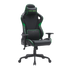 Call of Duty x GAMEON Licensed Gaming Chair with 2D Armrests and Metal Base - Green/Black