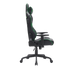 Call of Duty x GAMEON Licensed Gaming Chair with 2D Armrests and Metal Base - Green/Black