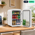 Powero Plus 22L Mini Refrigerator Dual Core CNC White Grey | IT Care Kuwait