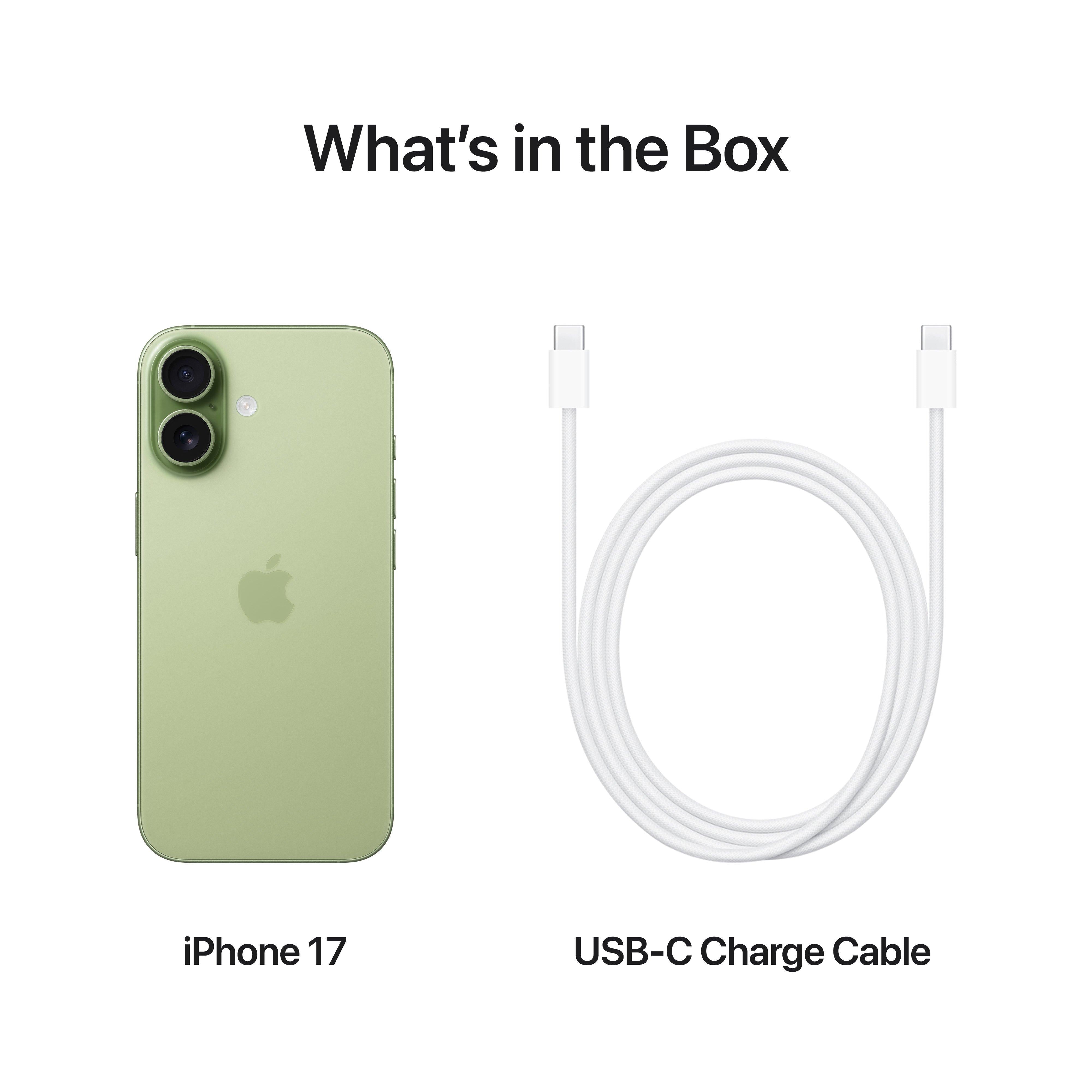 Apple iPhone 17 - 256GB / Sage / 5G / 6.3"IT CareApple iPhone