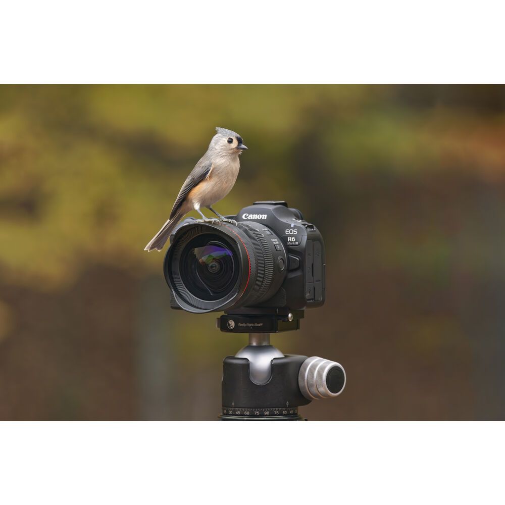 Canon EOS R6 Mark III Mirrorless Camera Body – 32.5MP Full - Frame 7K Hybrid CameraIT CareCamera