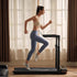 King Smith Foldable Treadmill - R3 Hybrid PlusIT CareTreadmill