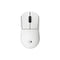 Logitech Pro X Superlight 2c LIGHTSPEED Wireless Gaming Mouse White | IT Care Kuwait
