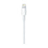 Apple Original USB to Lightning Cable 2 Meter