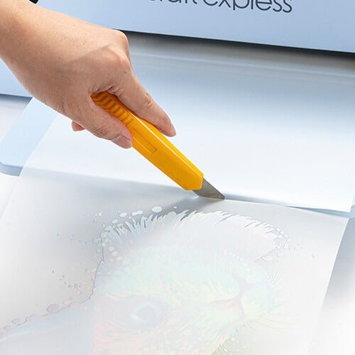 OtterPro Hot Cold Peel Double - Sided Matte DTF Film Roll – 30cm x 100mIT CareDTF Printable Film