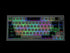 Keychron Q1 HE 75% RGB QMK Wireless Magnetic Mechanical Gaming Keyboard with Knob, Gateron Double-Rail Magnetic Nebula Switch, Shell White, English/Arabic Layout