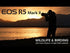 Canon EOS R5 Mark II Mirrorless Camera Body – 45MP Full-Frame 8K60 RAW Professional Camera