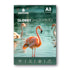 Print Care Glossy Photo Paper - A3 / 260GSM / 50 Sheets / Waterproof Inkjet PrintingIT CareA3 Photo Paper_