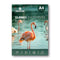 Print Care Glossy Photo Paper - A4 / 260GSM / 50 Sheets / Waterproof Inkjet PrintingIT CareA4 Photo Paper