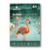 Print Care Glossy Photo Paper - A4 / 260GSM / 50 Sheets / Waterproof Inkjet PrintingIT CareA4 Photo Paper