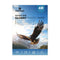 PrintCare Double Side Glossy Photo Paper 4x6 Inch 10x15cm 260gsm 100 Sheets | IT Care Kuwait
