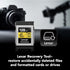 Lexar 128GB Professional Gold CFexpress 4.0 Type B Memory Card
