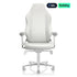 Secretlab TITAN Evo NanoGen Pure White Gaming Chair NanoFoam Cushion 4-Way Lumbar Support Size R | IT Care Kuwait