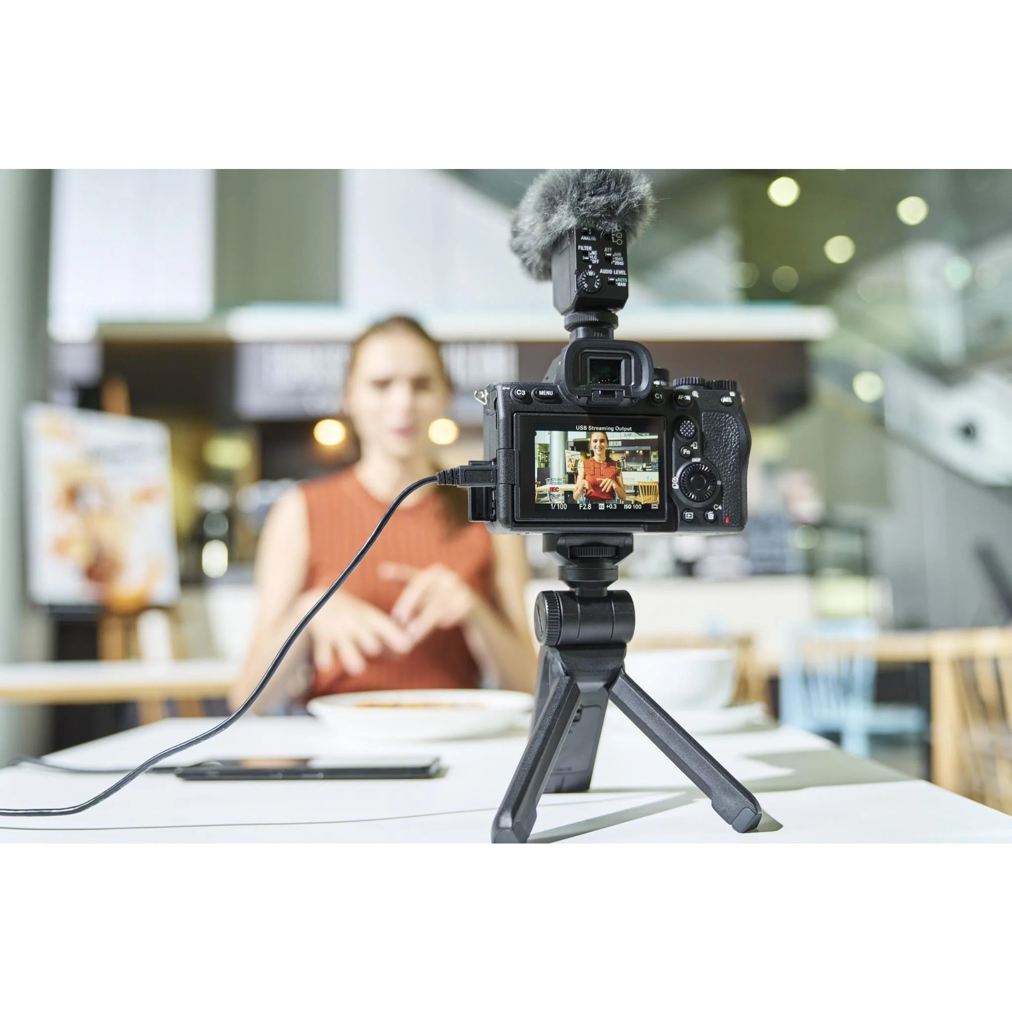 Sony Alpha A7 IV Full - Frame Mirrorless Camera Body – 33MP Hybrid Photo & 4K Video Camera (ILCE - 7M4/B)IT CareCamera
